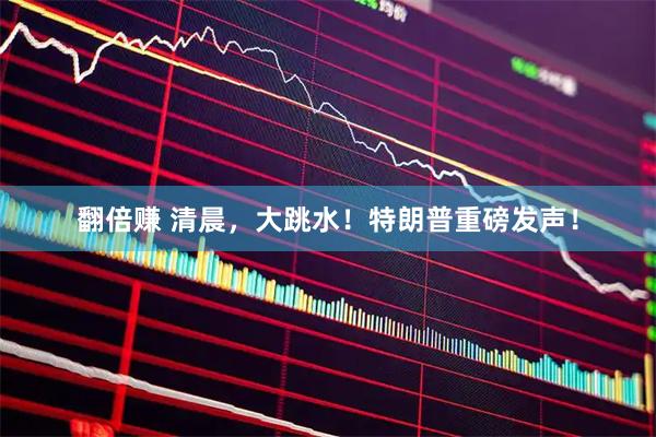 翻倍赚 清晨，大跳水！特朗普重磅发声！